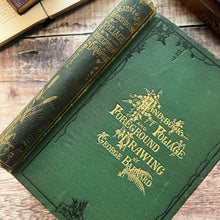 Load image into Gallery viewer, 1876 Hand Book of Foliage and Foreground Drawing; Illustrated Mid Victorian Book