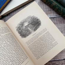 Load image into Gallery viewer, A Tour Round my Garden Translated by Rev J G Wood; Illustrated Victorian Natural History Book
