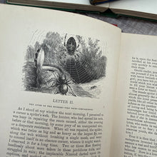 Load image into Gallery viewer, A Tour Round my Garden Translated by Rev J G Wood; Illustrated Victorian Natural History Book