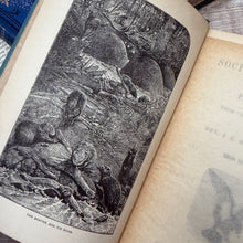 Load image into Gallery viewer, 1888 Social Habitations by Rev J G Wood; Victorian Illustrated Book