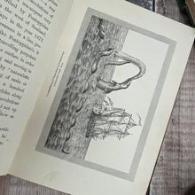 Load image into Gallery viewer, 1887 Monsters of the Sea; Legendary and Authentic with Numerous Illustrations