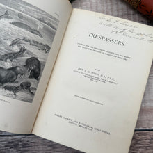 Load image into Gallery viewer, 1875 Treapassers by Rev J G Wood; Victorian Illustrated Natural History Book