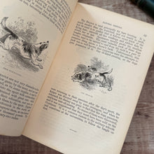 Load image into Gallery viewer, 1853 The Illustrated Natural History by Rev J G Wood; Mid Victorian Book