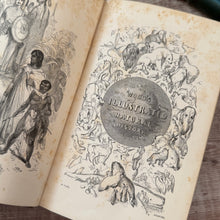 Load image into Gallery viewer, 1853 The Illustrated Natural History by Rev J G Wood; Mid Victorian Book