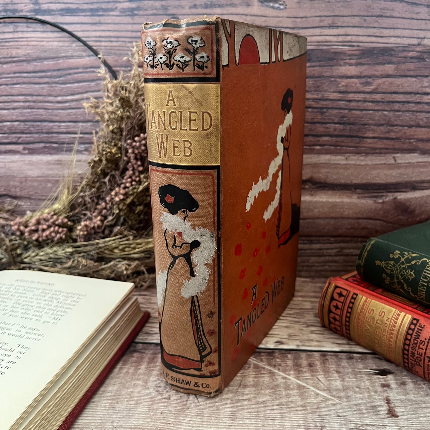 A Tangled Web A Tale of the 15th Century by Emily Sarah Holt Edwardian Book