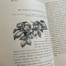 Load image into Gallery viewer, 1877 Drawings from Nature by Barnard Progressive Instructions in Sketching Victorian Book
