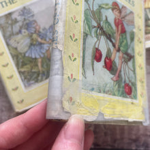 Load image into Gallery viewer, Three Pocket Editions of The Flower Fairies by Cicely Mary Barker; Circa 1950's
