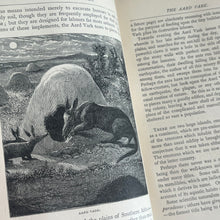 Load image into Gallery viewer, 1885 Strange Dwellings by J.G.Wood; Beautiful Illustrated Victorian Book
