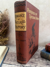 Load image into Gallery viewer, The Romance of Natural History by Philip Henry Gosse; Lovely Antique Book
