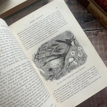Load image into Gallery viewer, 1895 Country Pastimes for Boys Illustrated Nature Book
