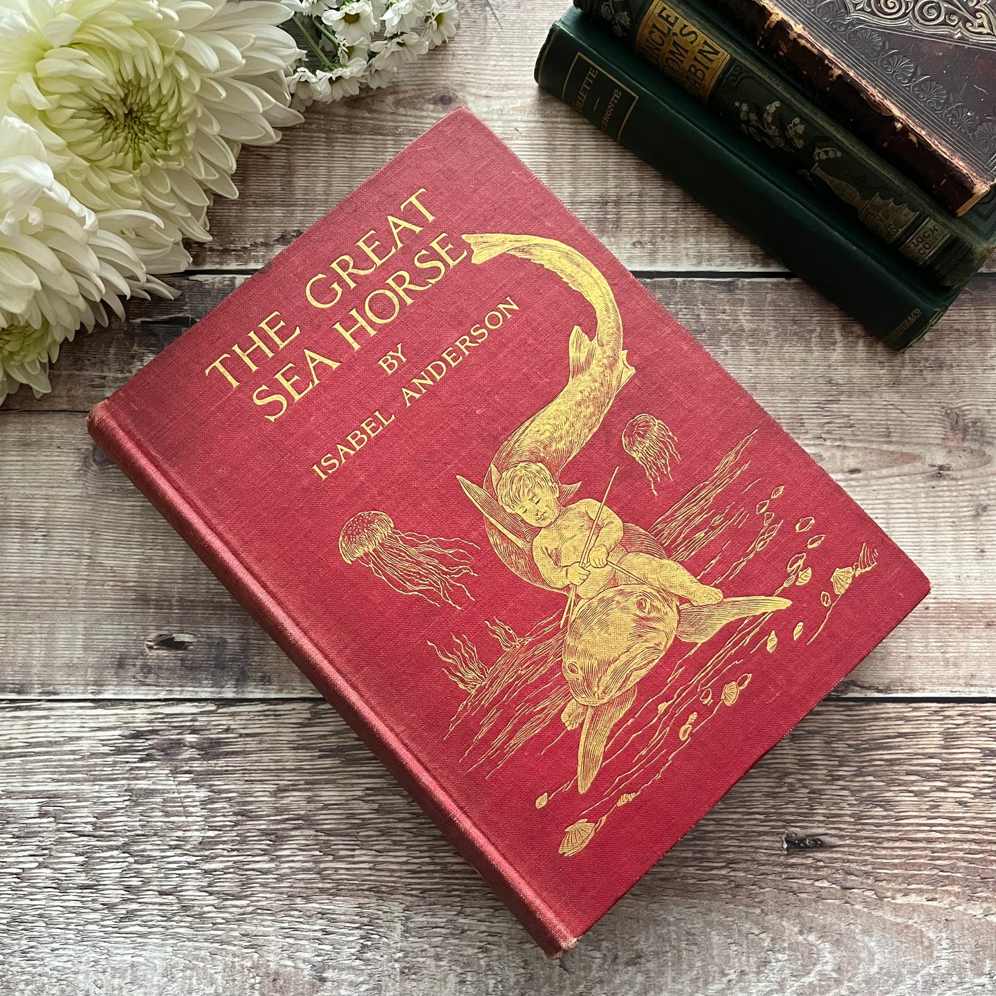 1909 The Great Sea Horse by Isabel Anderson Antique Illustrated Book FIRST EDITION