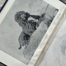 Load image into Gallery viewer, 1899 Black Puppy A Story for Children by Theodora Elmslie; Beautiful Illustrated Book
