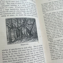 Load image into Gallery viewer, Four Hundred Animal Stories; Late Victorian Illustrated Book
