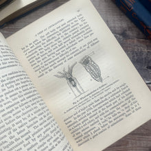 Load image into Gallery viewer, 1877 Sketches of Animal Life and Habits by Andrew Wilson; Illustrated Nature Book
