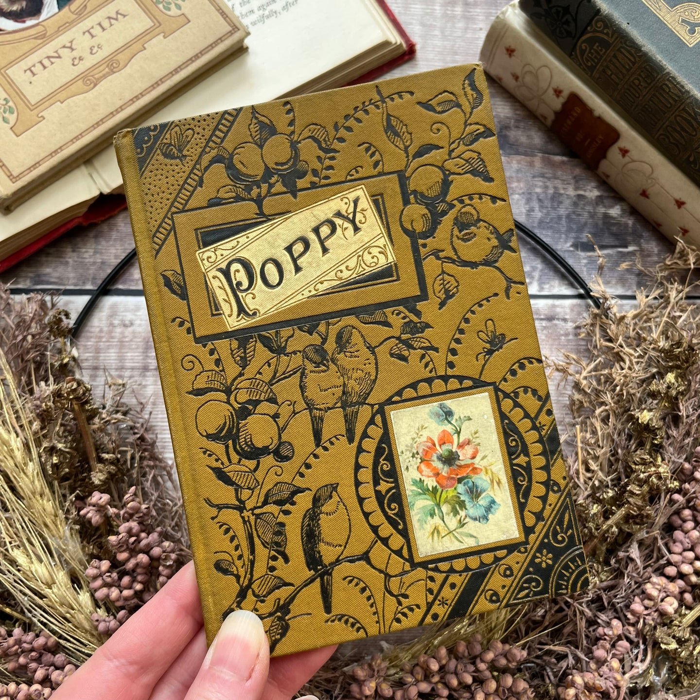 Poppy A Story in Twelve Chapters Beautiful Cloth Binding Pocket Book