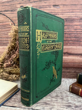 Load image into Gallery viewer, 1879 Half Hours in the Green Lanes by J.E.Taylor; Victorian Nature Book
