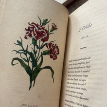 Load image into Gallery viewer, 1839 Nouveau Langage Des Fleurs; Quarter Leather Book with Hand Coloured Plates
