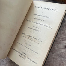 Load image into Gallery viewer, 1847 Ladies Botany A Familiar Introduction to the Study of Botany; Full Calf Leather
