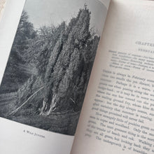 Load image into Gallery viewer, 1899 Wood and Garden by Gertrude Jekyll; Fine Half Morocco Binding
