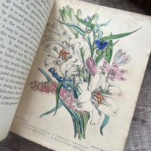 Load image into Gallery viewer, 1855 Popular Garden Botany by Agnes Catlow; First Edition with Hand Coloured Plates
