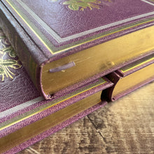 Load image into Gallery viewer, Collection of Three French Books by Comtesse de Segur; Floral Lilac Bindings 1979
