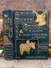 Load image into Gallery viewer, Aileen Aroon A Memoir; With Other Tales of Faithful Friends and Favourites; Victorian Book
