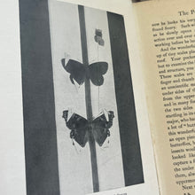Load image into Gallery viewer, 1914 British Butterflies by A.M Stewart; Peeps at Nature Series First Edition
