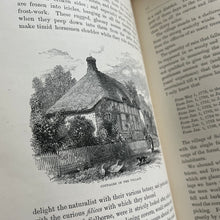 Load image into Gallery viewer, 1875 The Natural History and Antiquities of Selborne by Gilbert White Beautiful Binding
