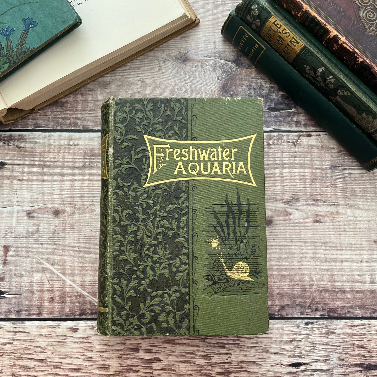 Fresh-water Aquaria Their Construction, Arrangement and Management Antique Book