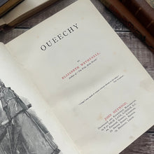 Load image into Gallery viewer, Queechy by Elizabeth Wetherell Antique Book with Floral Binding
