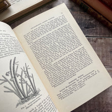Load image into Gallery viewer, Hardy Perennials and Old Fashioned Garden Flowers Late Victorian Antique Book
