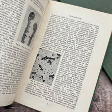 Load image into Gallery viewer, Two Volumes of Small Vintage Nature Books...British Fungi and Ferns
