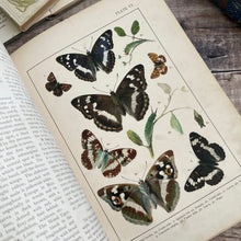 Load image into Gallery viewer, British and European Butterflies and Moths ... Colour Illustrations
