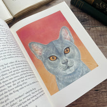 Load image into Gallery viewer, Yellow Fairy Book by Andrew Lang Folio Society Rare Collector&#39;s Edition Book With Slipcase
