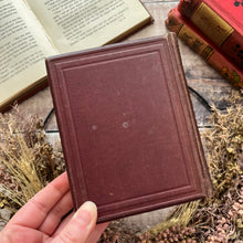 Load image into Gallery viewer, The Language and Poetry Of Flowers Antique Collectable Late Victorian Book Colour Plates
