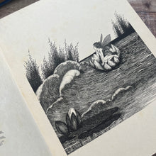 Load image into Gallery viewer, Very Rare First UK Edition of Fairyland by Ida Rentoul Outhwaite 1931
