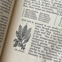 Load image into Gallery viewer, 1859 The Young Lady's Book; A Manual of Elegant Recreations, Arts, Sciences and Accomplishments
