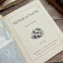 Load image into Gallery viewer, Victorian Book of Field Friends and Forest Foes; Illustrated 19th Century Book
