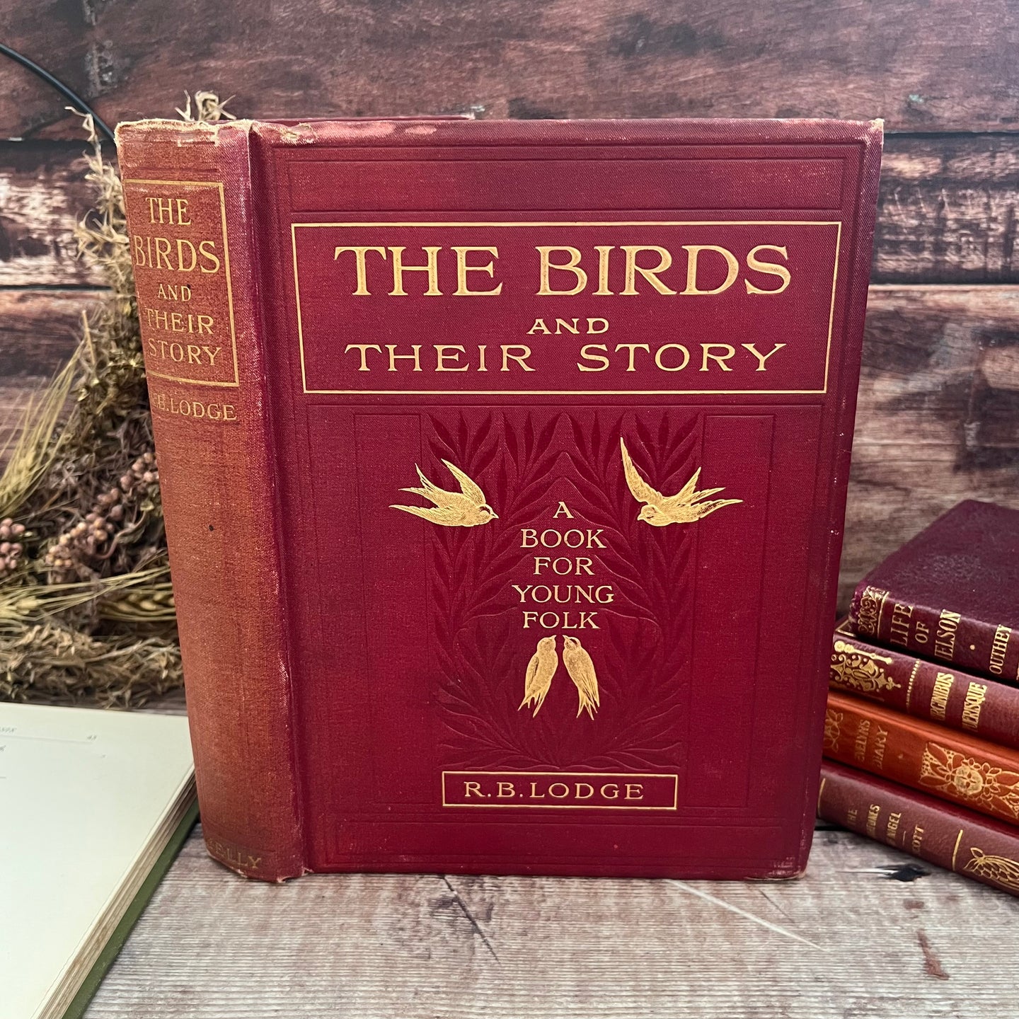 The Birds and Their Story by R.B.Lodge A Book for Young Folk Edwardian Illustrated