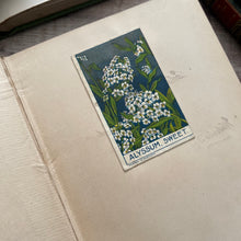 Load image into Gallery viewer, 1887 Sylvan Spring by Francis George Heath; Illustrated with Colour Plates (e)

