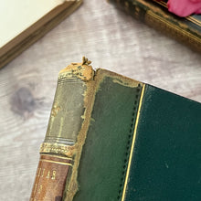 Load image into Gallery viewer, Familiar Wild Flowers Second Series by Edward Hulme; Half Leather Illustrated Book
