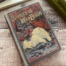 Load image into Gallery viewer, Stories of Wild Beasts by Ascott R Hope; Victorian Illustrated Book of Animals
