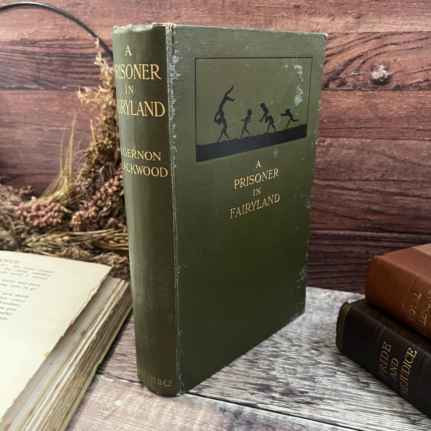 1922 A Prisoner in Fairyland by Algernon Blackwood Vintage Book by Macmillan