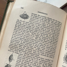 Load image into Gallery viewer, 1859 The Young Lady's Book A Manual of Elegant Recreations, Arts, Sciences and Accomplishments
