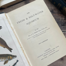 Load image into Gallery viewer, The Fresh and Saltwater Aquarium by Rev J G Wood Victorian Book with Plates
