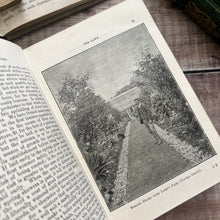Load image into Gallery viewer, 1897 The Amateur's Flower Garden by Shirley Hibberd; Beautiful Floral Binding
