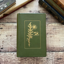 Load image into Gallery viewer, Flowers of the Field by Rev CA Johns Eleventh Impression Antique Floral Book
