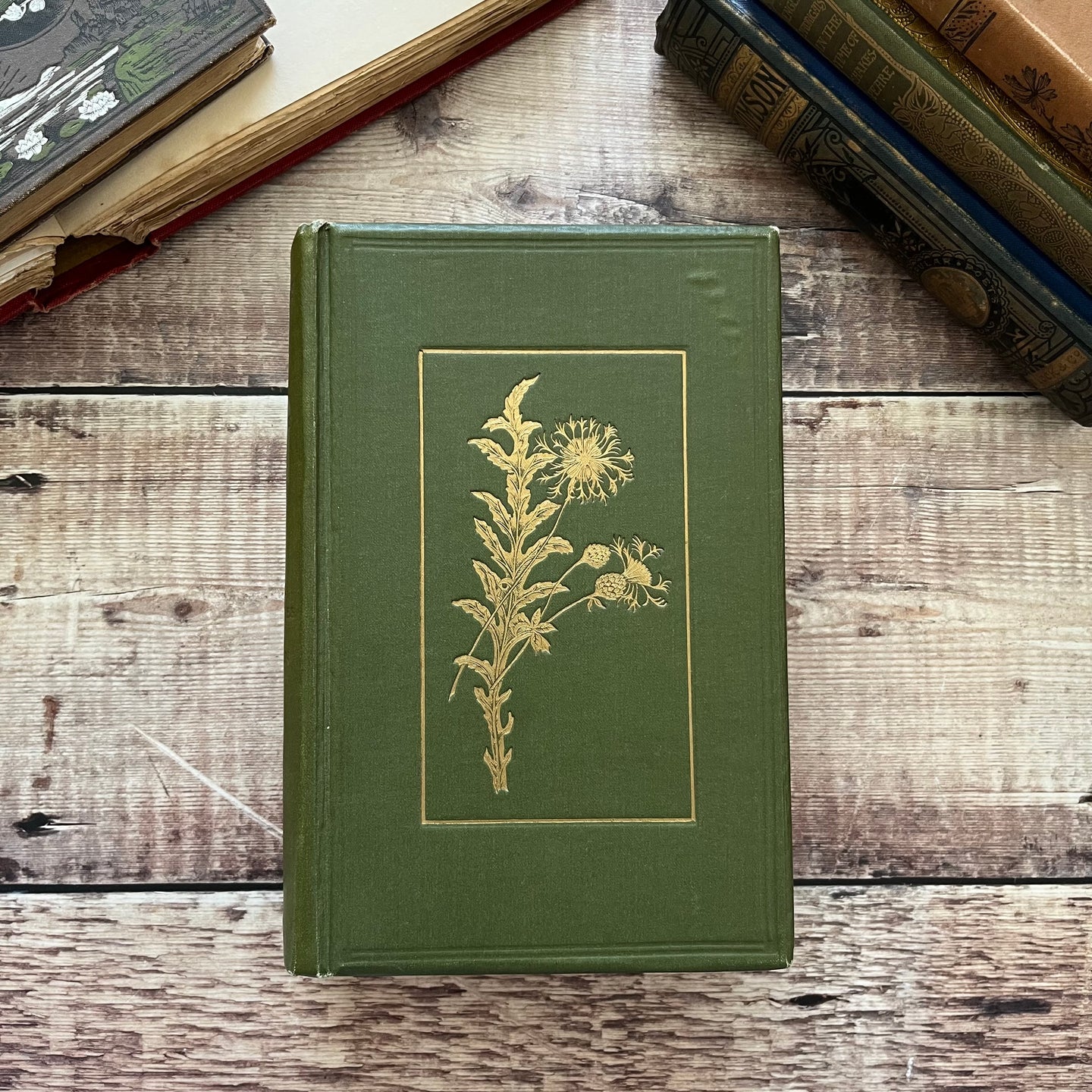 Flowers of the Field by Rev CA Johns Eleventh Impression Antique Floral Book