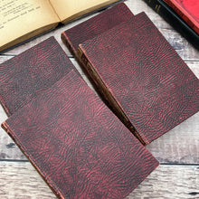 Load image into Gallery viewer, Set of Shown to the Children Series Antique Books
