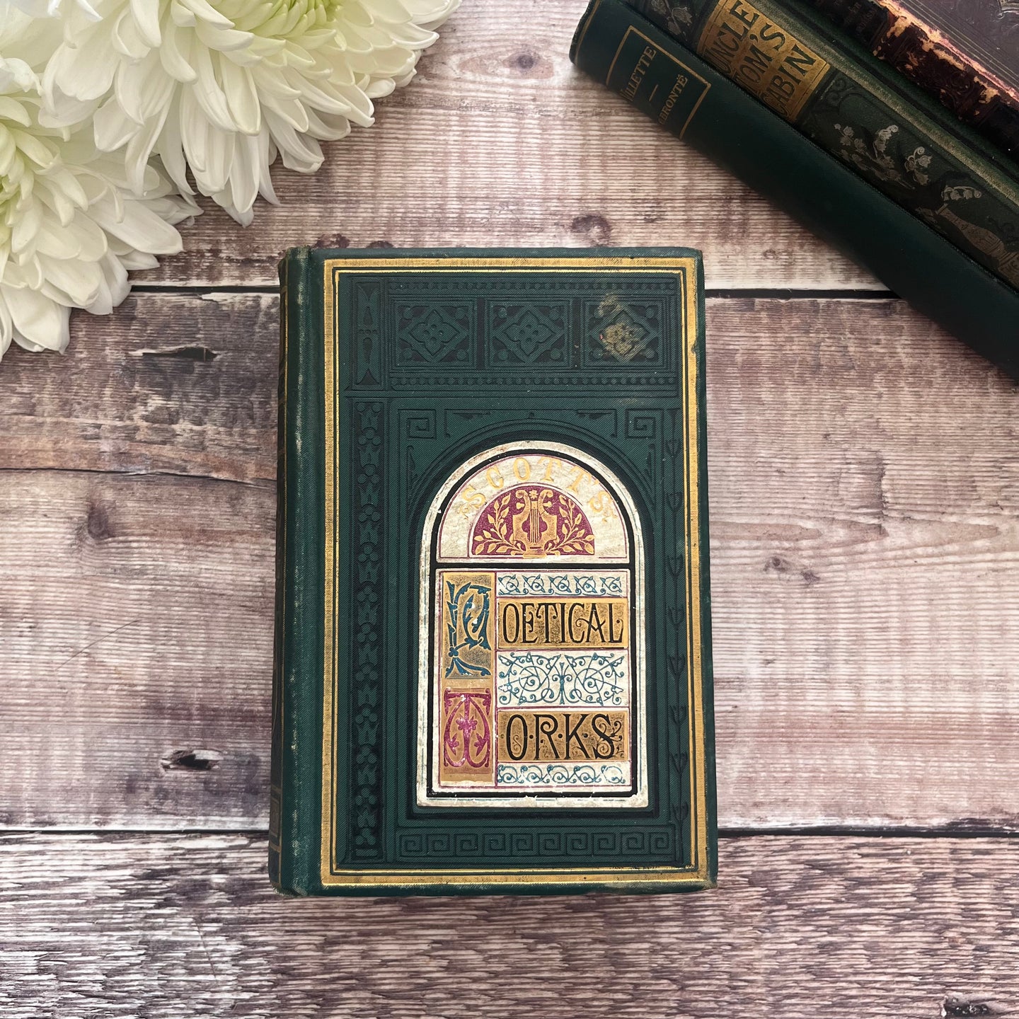 1877 The Poetical Works of Sir Walter Scott Illustrated Mid Victorian Book